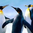 ���� ==Elena==, ������� - ��������� 1 ������� 2012 � ������ ���������� ������