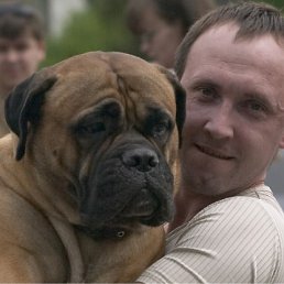 ���� ����, ������, 54 ���� - ��������� 23 ������ 2010