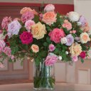 ���� ����� - ���������� ��������!!!, �����������, 56 ��� - ��������� 15 ������ 2010 � ������ ����ۻ