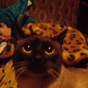 ���� ����� ������� �� ������� ���� ���