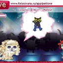 ���� �������, ������������, 26 ��� - ��������� 19 ������ 2010 � ������ �PetLove�