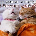 ���� �������� ���������, ����-���������, 48 ��� - ��������� 29 ����� 2013