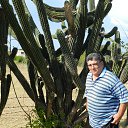 ���� Maximo, �����-�������, 61 ��� - ��������� 9 ������� 2013