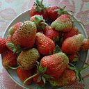 ���� ����, ���������, 47 ��� - ��������� 10 ������� 2010 � ������ ��������