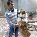 ���� Tofik, ����, 36 ��� - ��������� 21 ������� 2012