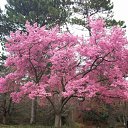 ���� �����, ����� - ��������� 24 ������ 2010 � ������ ��������