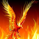 ���� ������, ������, 32 ���� - ��������� 30 ���� 2013