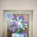 ������ � ���� �� ������� ���� ����������