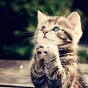 ���� �������, ���������, 42 ���� - ��������� 5 ������ 2012 � ������ �������������