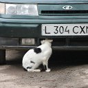 ���� Marat, �������, 66 ��� - ��������� 7 ��� 2012 � ������ ���� ����������