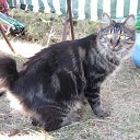 ���� ������ ������, ��������, 58 ��� - ��������� 28 �������� 2012