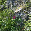  Valera, , 48  -  29  2012    