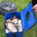 ���� ���������, �����, 48 ��� - ��������� 27 ��� 2013 � ������ ���� ����������