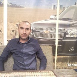 ���� �������, ���, 41 ��� - ��������� 29 ������ 2013