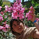 ���� ����, ������, 42 ���� - ��������� 27 ���� 2011 � ������ ���� ����������