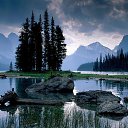 ���� �����, �����-���������, 44 ���� - ��������� 5 ��� 2010 � ������ �������