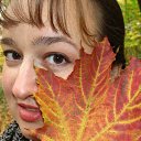 ���� ����, ������, 51 ��� - ��������� 12 ��� 2013 � ������ ���� ����������