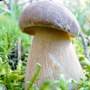 ���� �������, ������� - ��������� 10 ������ 2010 � ������ ����...������