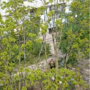 ���� �����, ����� - ��������� 25 ��� 2011 � ������ ����� �� ���� �����