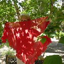 ���� �������, ������-��-����, 64 ���� - ��������� 30 ��� 2011 � ������ �������