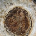 ���� ���������, ���������� - ��������� 23 ������� 2010 � ������ �������������Ż