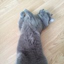 ���� �������, �����-���������, 47 ��� - ��������� 1 ���� 2013 � ������ ���� ����������