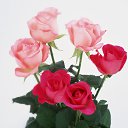 ���� Val, ������, 51 ��� - ��������� 1 ������ 2011 � ������ �������