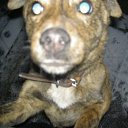 ���� Aleksandr, ���������, 46 ��� - ��������� 4 ������ 2010 � ������ ������ ������