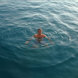 �������, ������, 51 ���