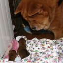  ,  -  3  2010    ,, ۻ