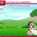  , , 24  -  1  2010   PetLove