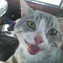 ���� �������, ��������, 63 ���� - ��������� 2 ���� 2013 � ������ ����� ��� ������������