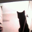 ���� ������, ����������, 45 ��� - ��������� 8 ����� 2012 � ������ ���� ������