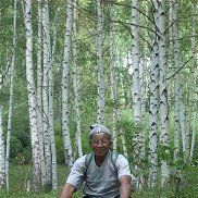 ����� ��, 29 ���, �����������