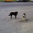 ���� ������, �����-���������, 69 ��� - ��������� 31 ����� 2010 � ������ �������