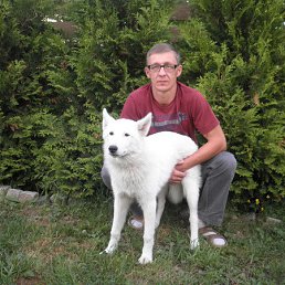 ���� ������, ������, 58 ��� - ��������� 4 ���� 2013