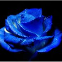  = , , 49  -  1  2012