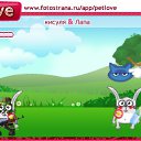 ���� ��������, �����-���������, 50 ��� - ��������� 7 ������ 2010 � ������ �PetLove�