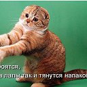 ���� �����, ������, 26 ��� - ��������� 25 ���� 2010 � ������ ���������