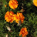 ���� ���������, ���������� - ��������� 22 ������� 2010 � ������ ������� � ��������...�