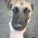 ���� ���������, ����������, 35 ��� - ��������� 26 ������ 2011 � ������ ���������=)�