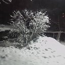 ���� �������, ��������, 54 ���� - ��������� 11 ������� 2010 � ������ ���� ����������