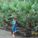 ���� �������, �����, 45 ��� - ��������� 15 ������ 2012 � ������ ���� ����������