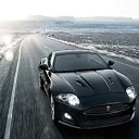 ���� ������, ����, 61 ��� - ��������� 21 ������ 2013 � ������ ���� ����������