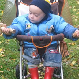 �����, ������������, 73 ����