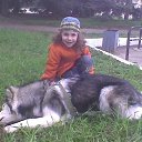 ���� ��������, �����-���������, 44 ���� - ��������� 3 ������ 2011 � ������ ���� ����������