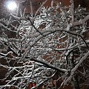 ���� ������, ������, 47 ��� - ��������� 4 ������� 2013 � ������ �������� ������