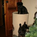 ���� �����, ��������� - ��������� 18 ������ 2012 � ������ ������� �� ...� �� ������