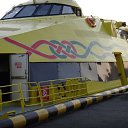 ���� �������, ������, 50 ��� - ��������� 5 ������� 2013 � ������ ���� ����������