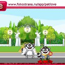 ���� ˸���, ������������, 41 ��� - ��������� 5 ������ 2011 � ������ �PetLove�